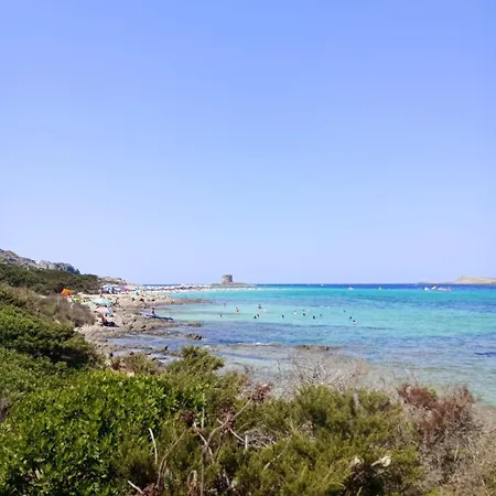 Il Porto Vecchio 3* Stintino