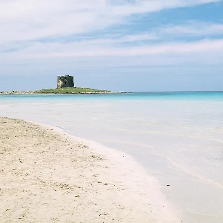 ベッド・アンド・ブレックファスト Il Porto Vecchio スティンティーノ